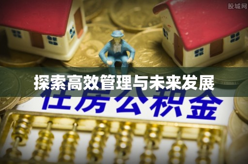 海晏探索高效管理与未来发展