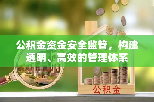 海晏公积金资金安全监管，构建透明、高效的管理体系