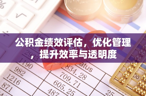 海晏公积金绩效评估，优化管理，提升效率与透明度