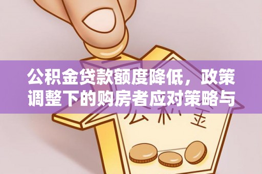 海晏公积金贷款额度降低，政策调整下的购房者应对策略与未来趋势