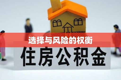海晏选择与风险的权衡